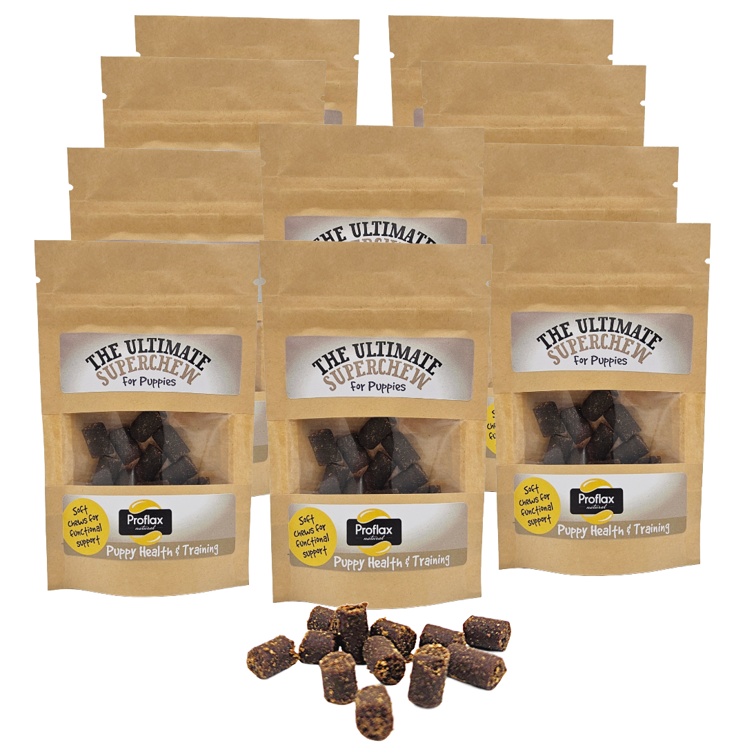 Soft Chews for Functional Support - Puppy