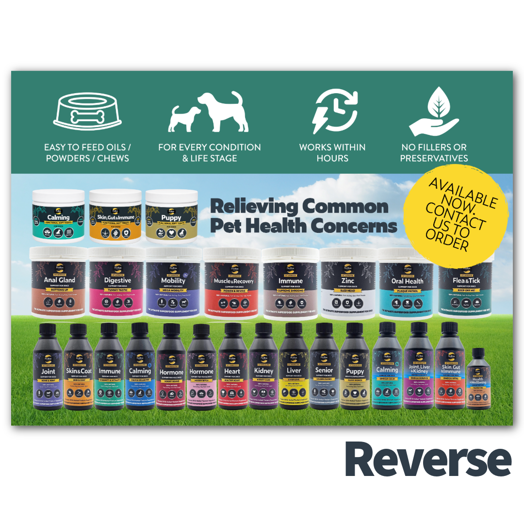 Customer Upsell Flyers – FREE