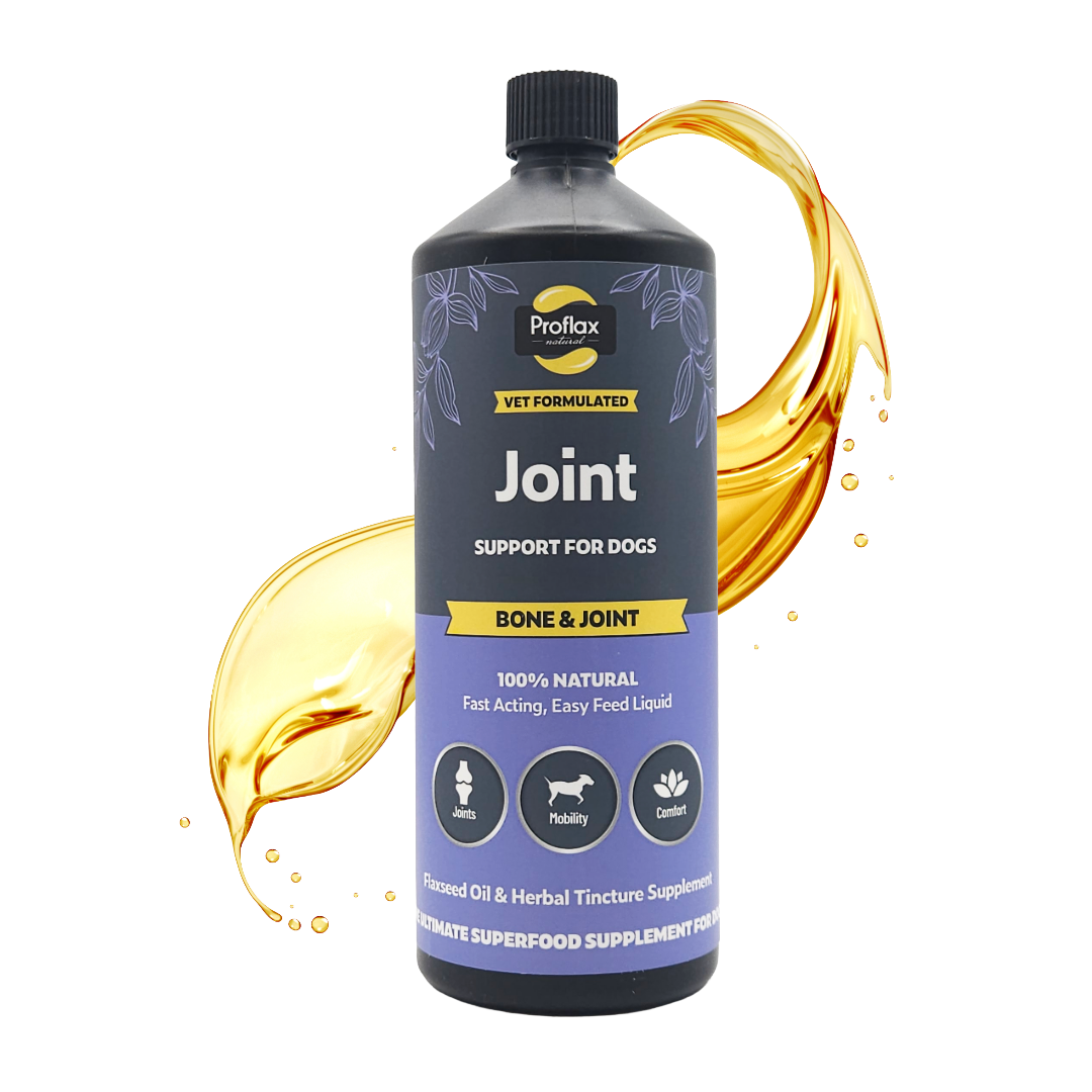 Bone, Joint & Mobility Support for Dogs