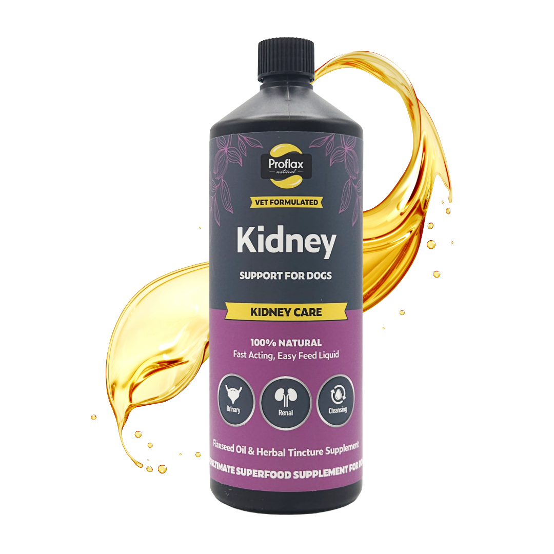 Kidney & Urinary Support for Dogs - Kidney Care