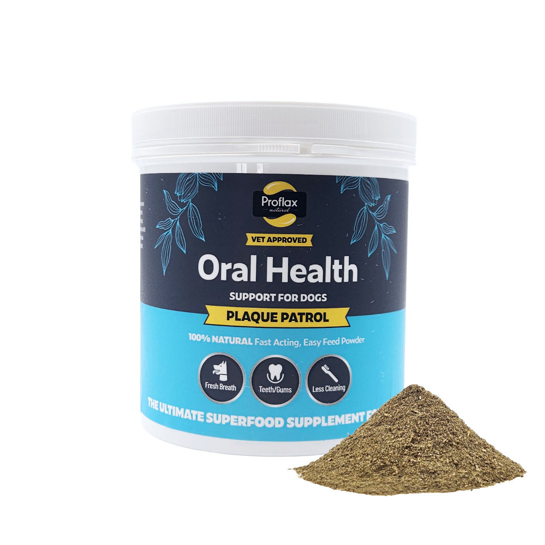 Healthy Teeth & Gums for Dogs - Plaque Patrol