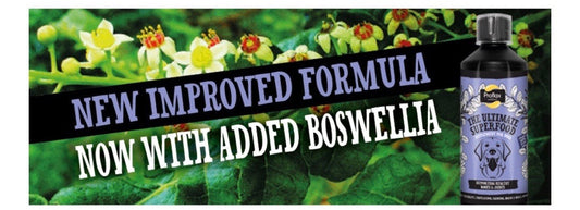 Bone & Joint - new & improved formula!