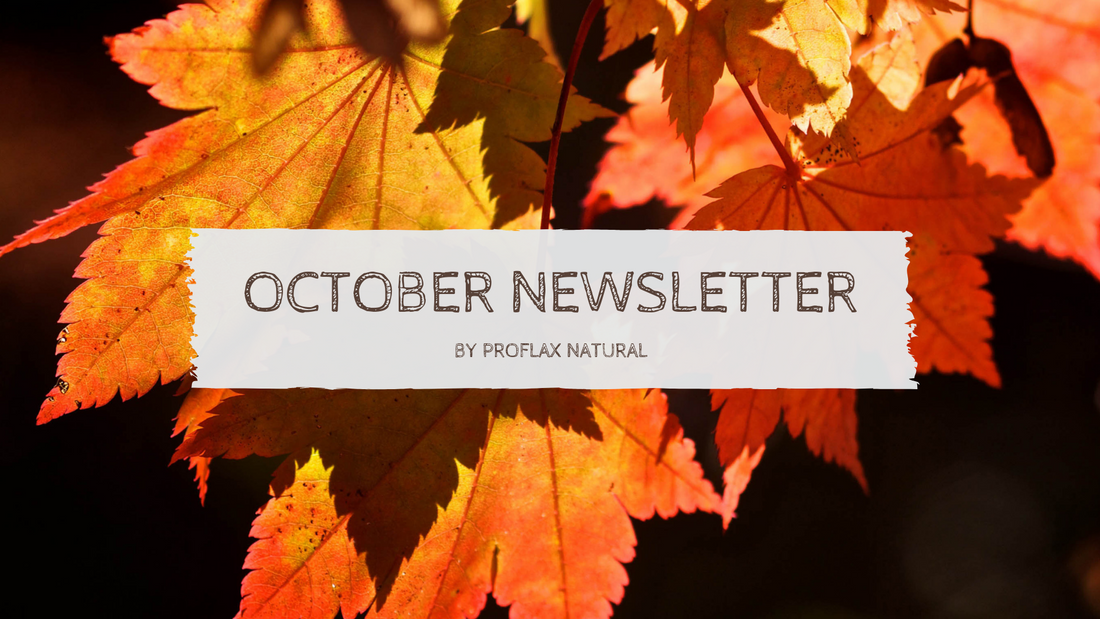 Proflax Holistic Natural Dog Supplement - October Newsletter