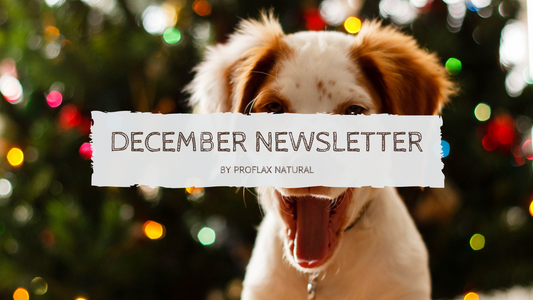 December Newsletter
