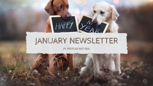 January Newsletter