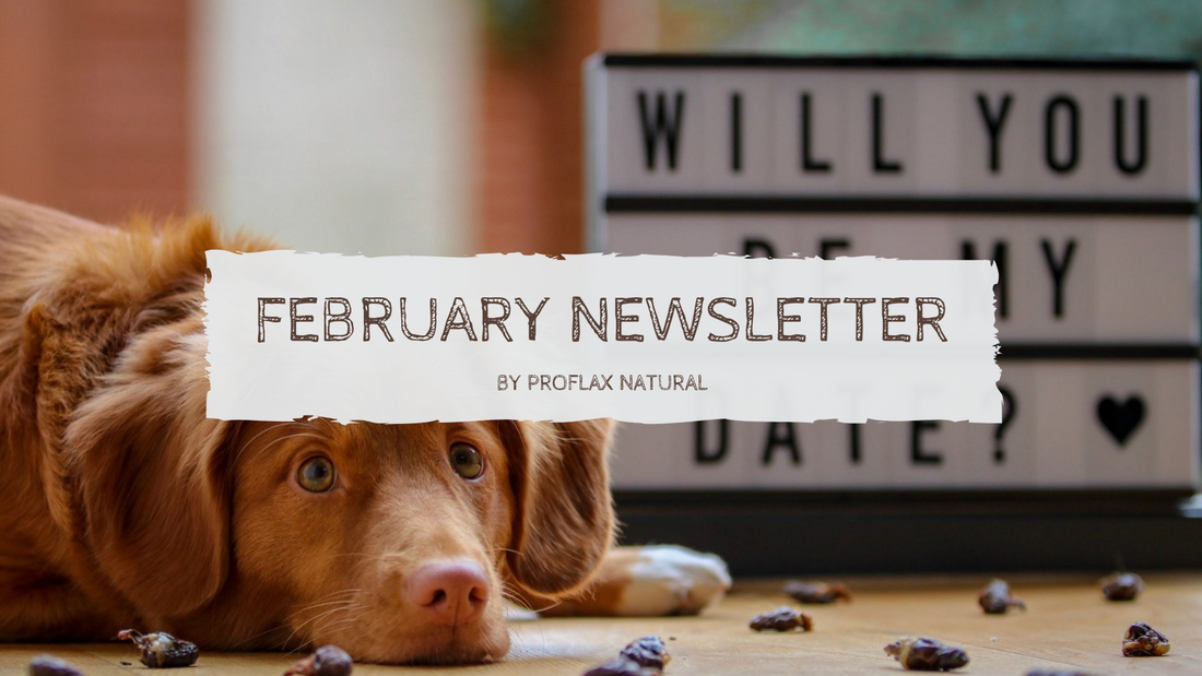 February Newsletter