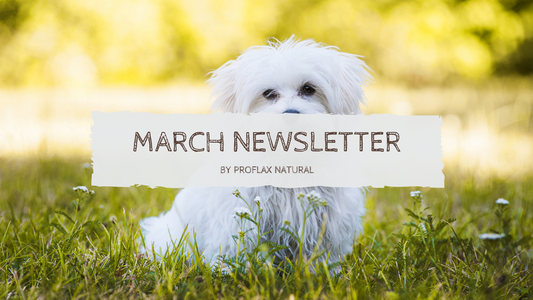 March Newsletter