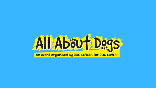 All About Dogs – Essex