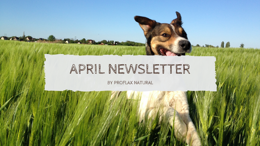 April Newsletter
