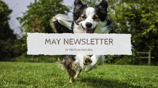 May Newsletter