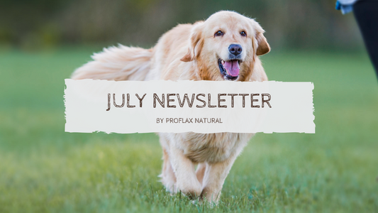 July Newsletter