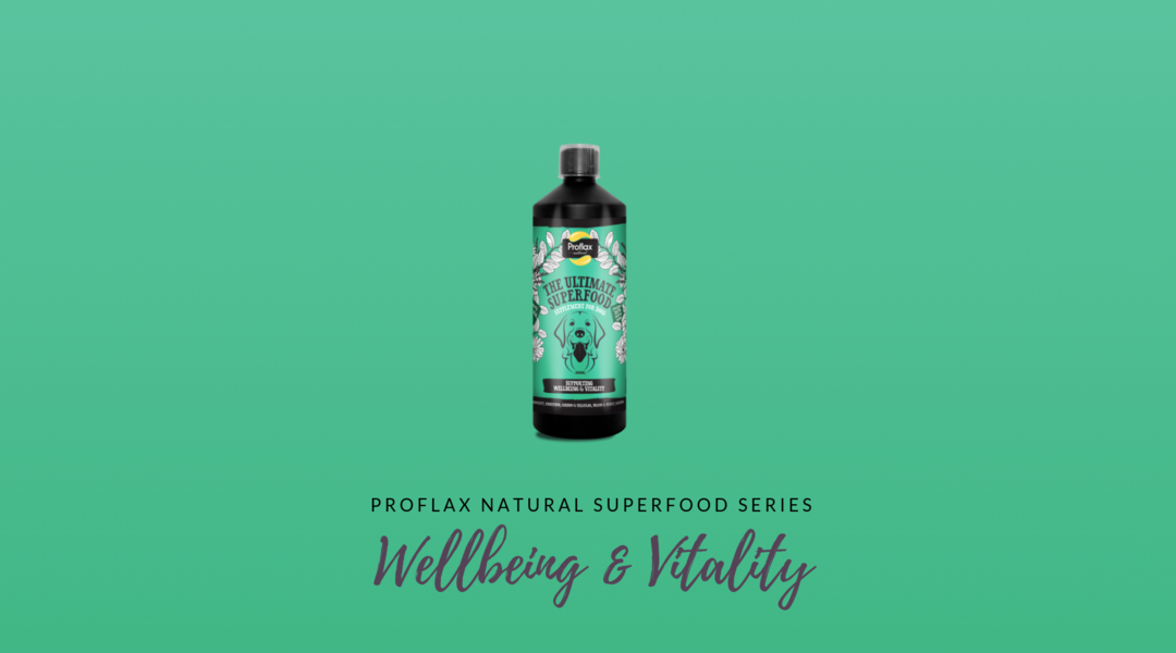 Benefits of Our Immunity & Wellbeing Supplement