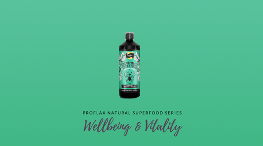 Benefits of Our Immunity & Wellbeing Supplement