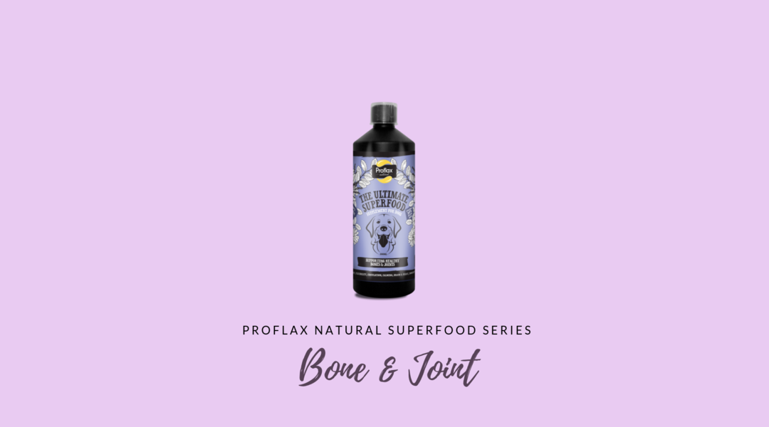 Benefits of Our Bone & Joint Supplement