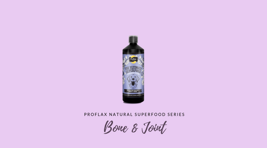Benefits of Our Bone & Joint Supplement