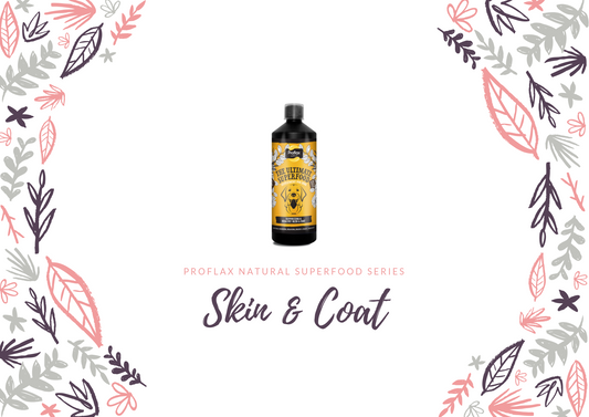 Benefits of Our Skin & Coat Supplement