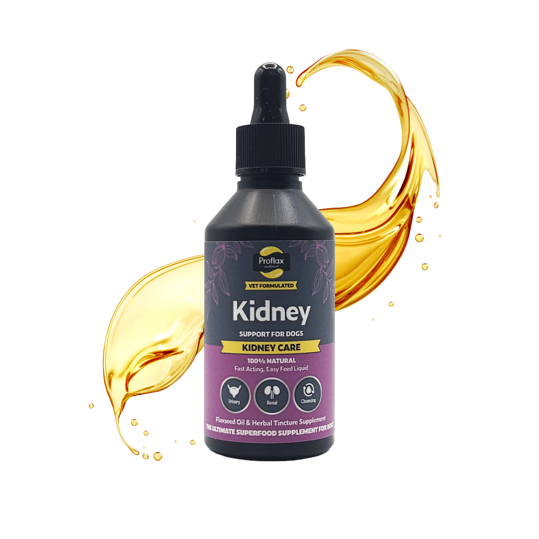 Kidney & Urinary Support for Dogs - Kidney Care