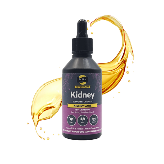 Kidney & Urinary Support for Dogs - Kidney Care