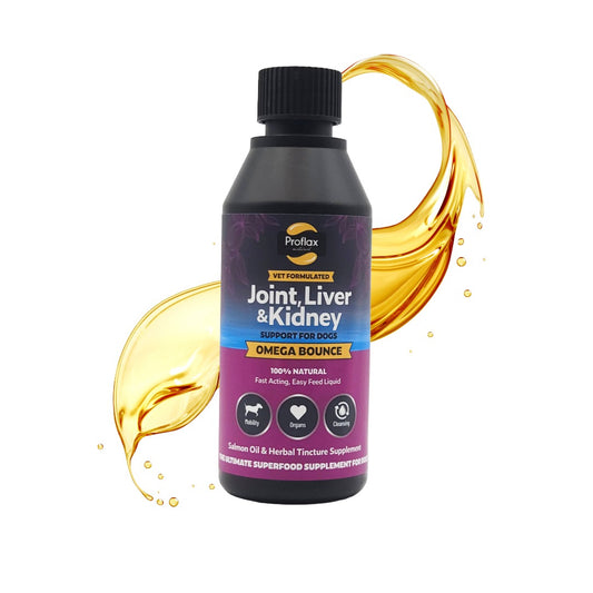 Salmon Oil for Joint & Mobility Support - Omega Bounce