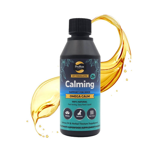 Calming Salmon Oil for Anxious Dogs - Omega Calm