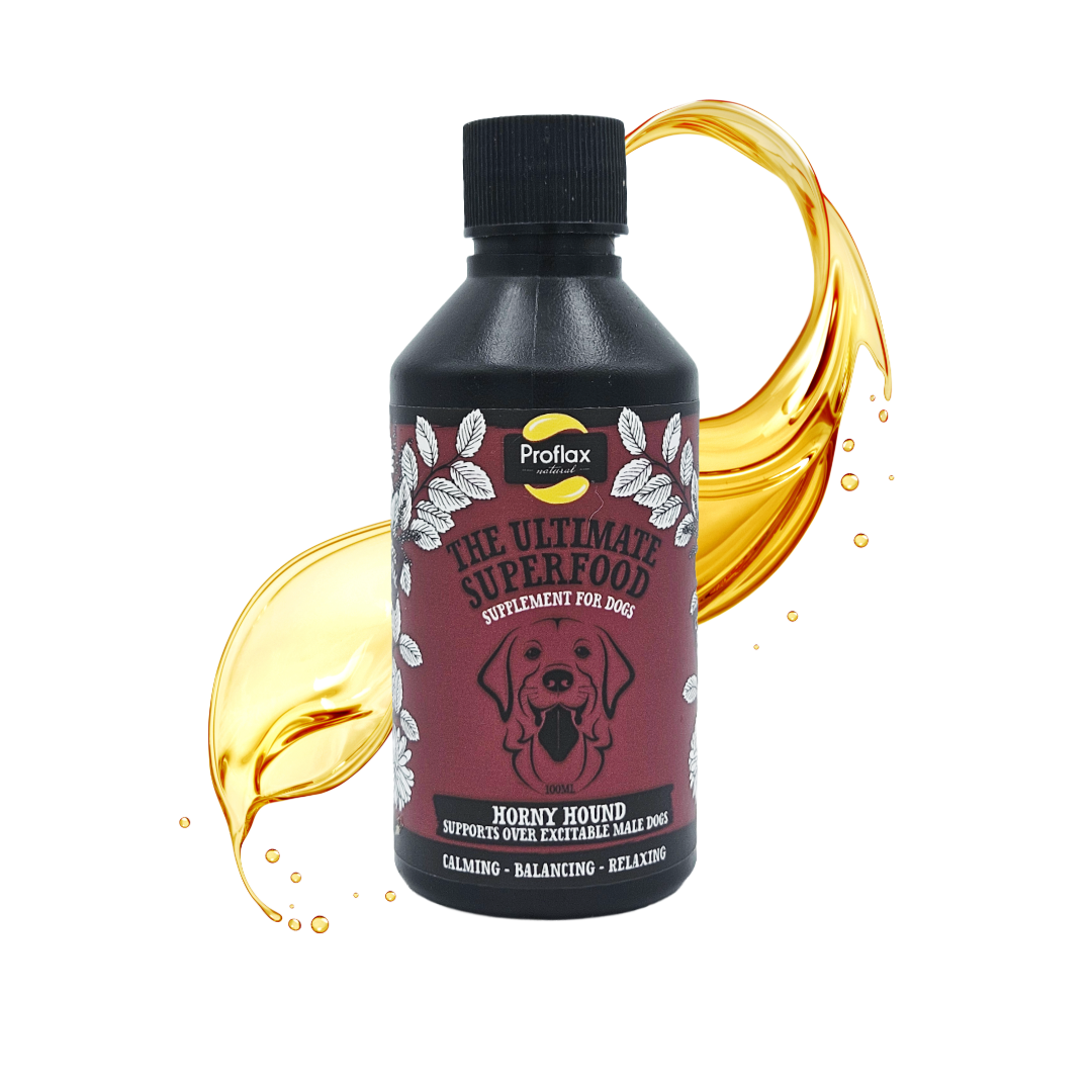 Hormone Balance for Male Dogs - Horny Hound