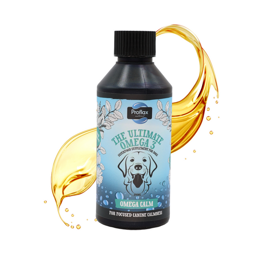Calming Salmon Oil for Anxious Dogs - Omega Calm
