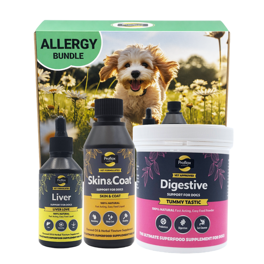 Targeted Wellness Bundle - Adult (Premium)