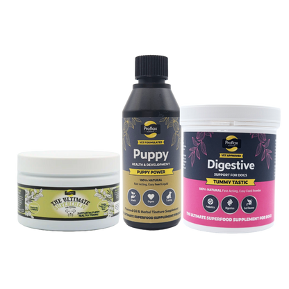 Targeted Wellness Bundle - Puppy (Premium)