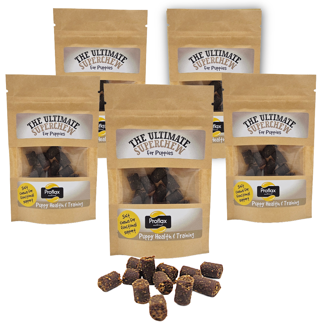 Soft Chews for Functional Support - Puppy