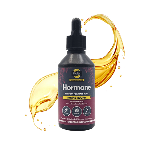 Hormone Balance for Male Dogs - Horny Hound