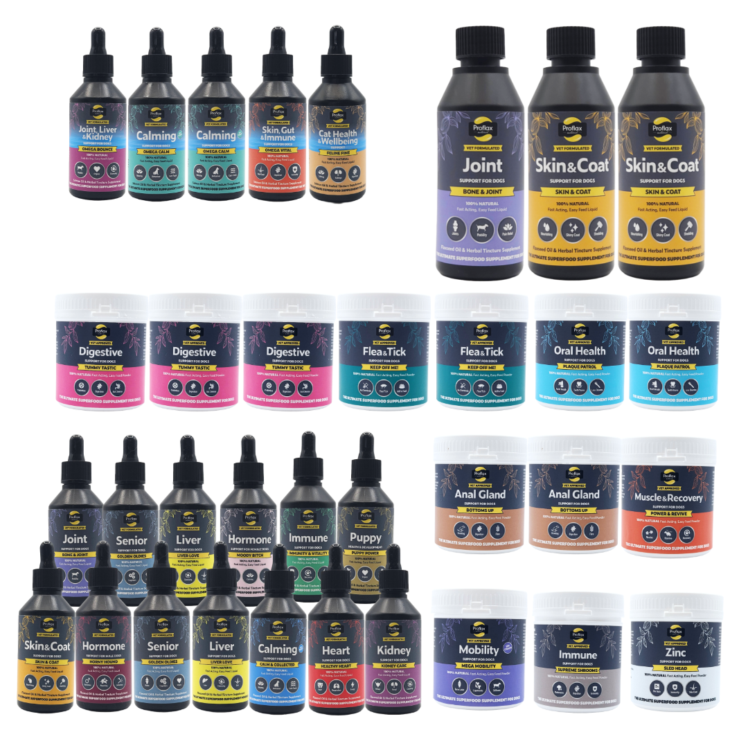 Proflax Retailers Counter Top Starter Pack