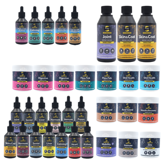 Proflax Retailers Counter Top Starter Pack