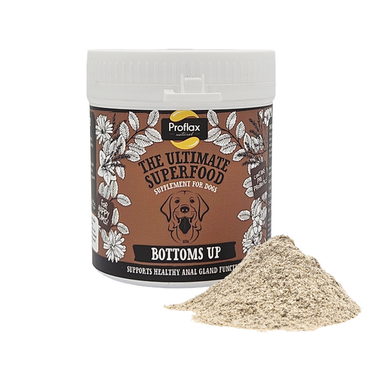 Anal Gland Support for Dogs - Bottoms Up