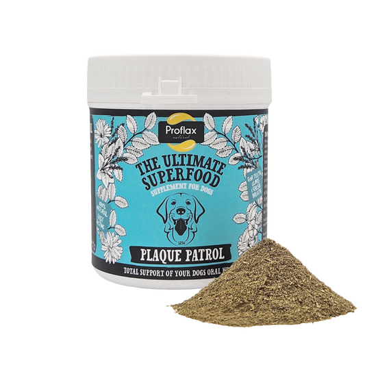 Healthy Teeth & Gums for Dogs - Plaque Patrol