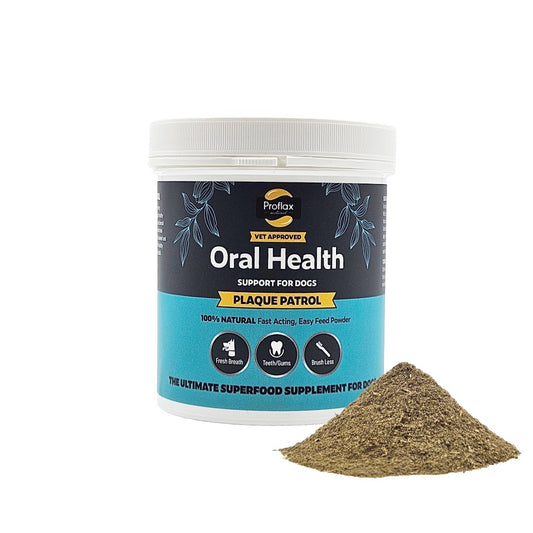 Healthy Teeth & Gums for Dogs - Plaque Patrol