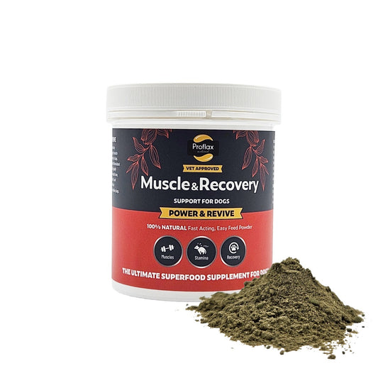 Muscle & Recovery Support for Dogs - Power & Revive