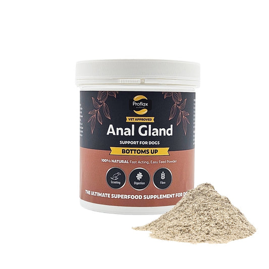 Anal Gland Support for Dogs - Bottoms Up