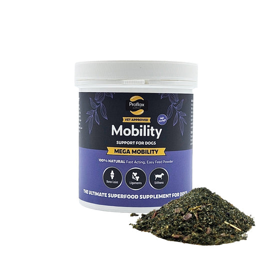 Joint & Mobility Blend for Dogs - Mega Mobility