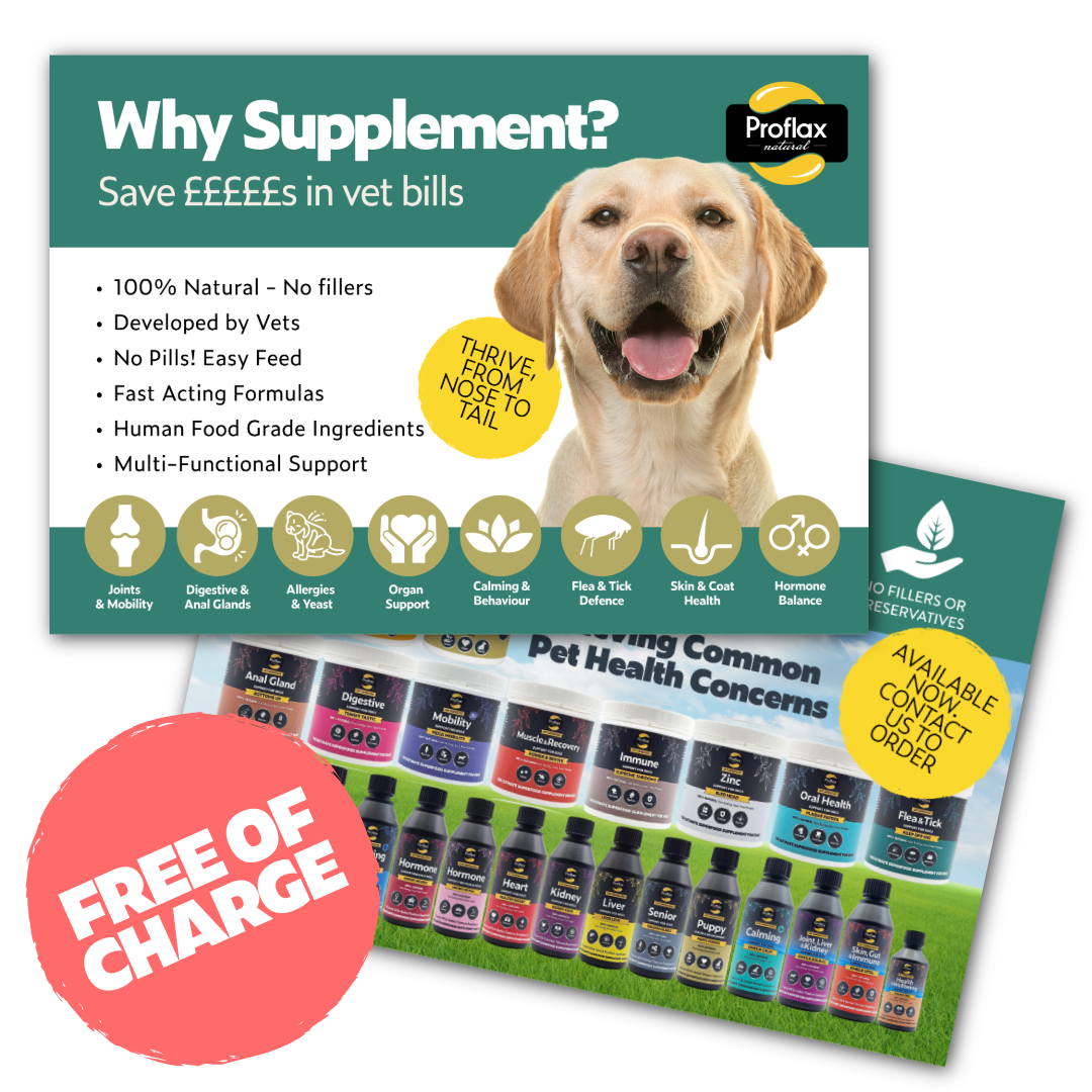 Customer Upsell Flyers – FREE