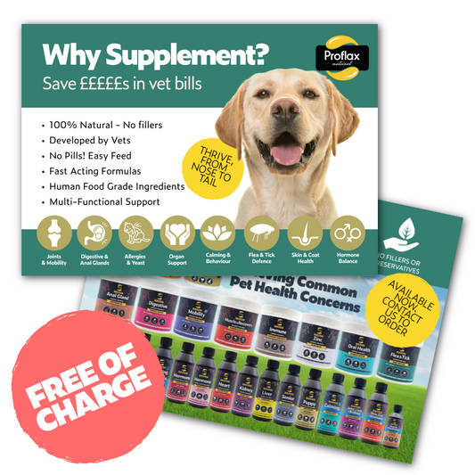 Customer Upsell Flyers – FREE