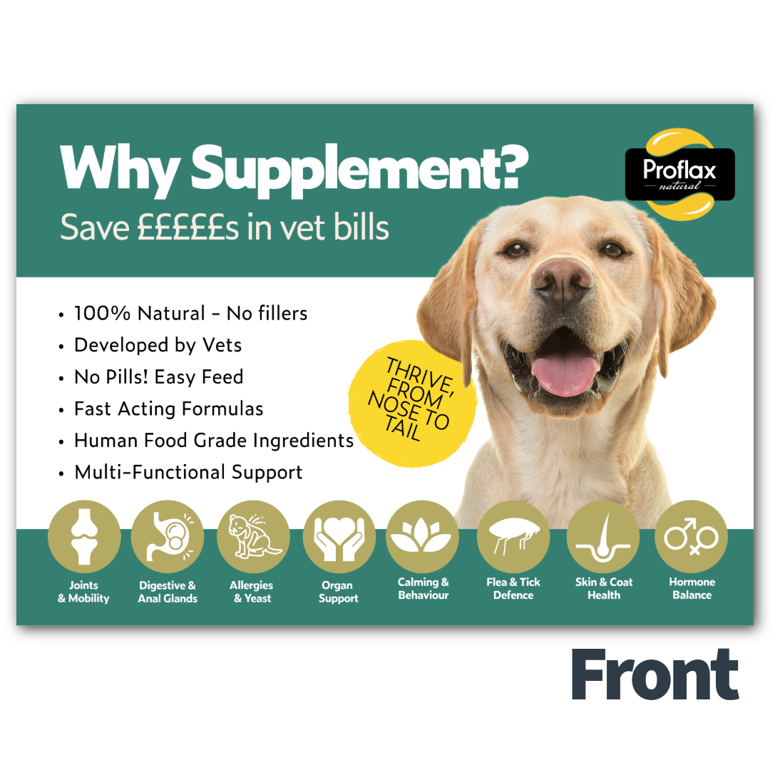 Customer Upsell Flyers – FREE