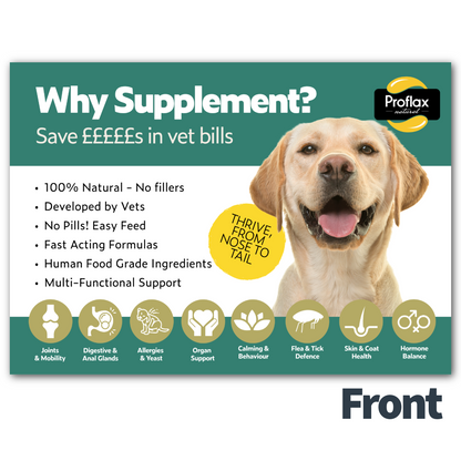 Customer Upsell Flyers – FREE