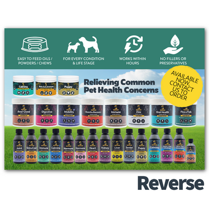 Customer Upsell Flyers – FREE