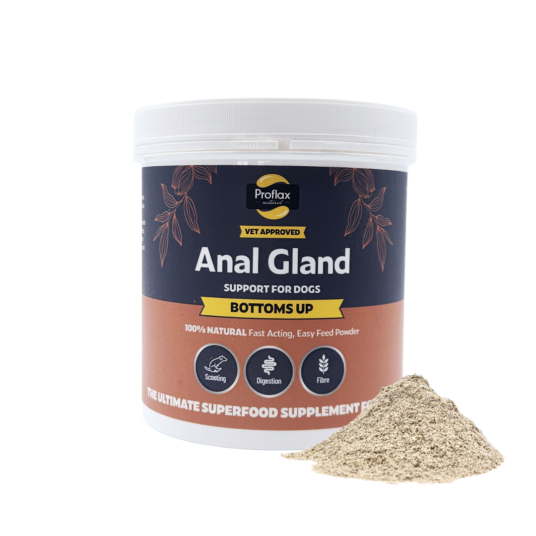 Anal Gland Support for Dogs - Bottoms Up