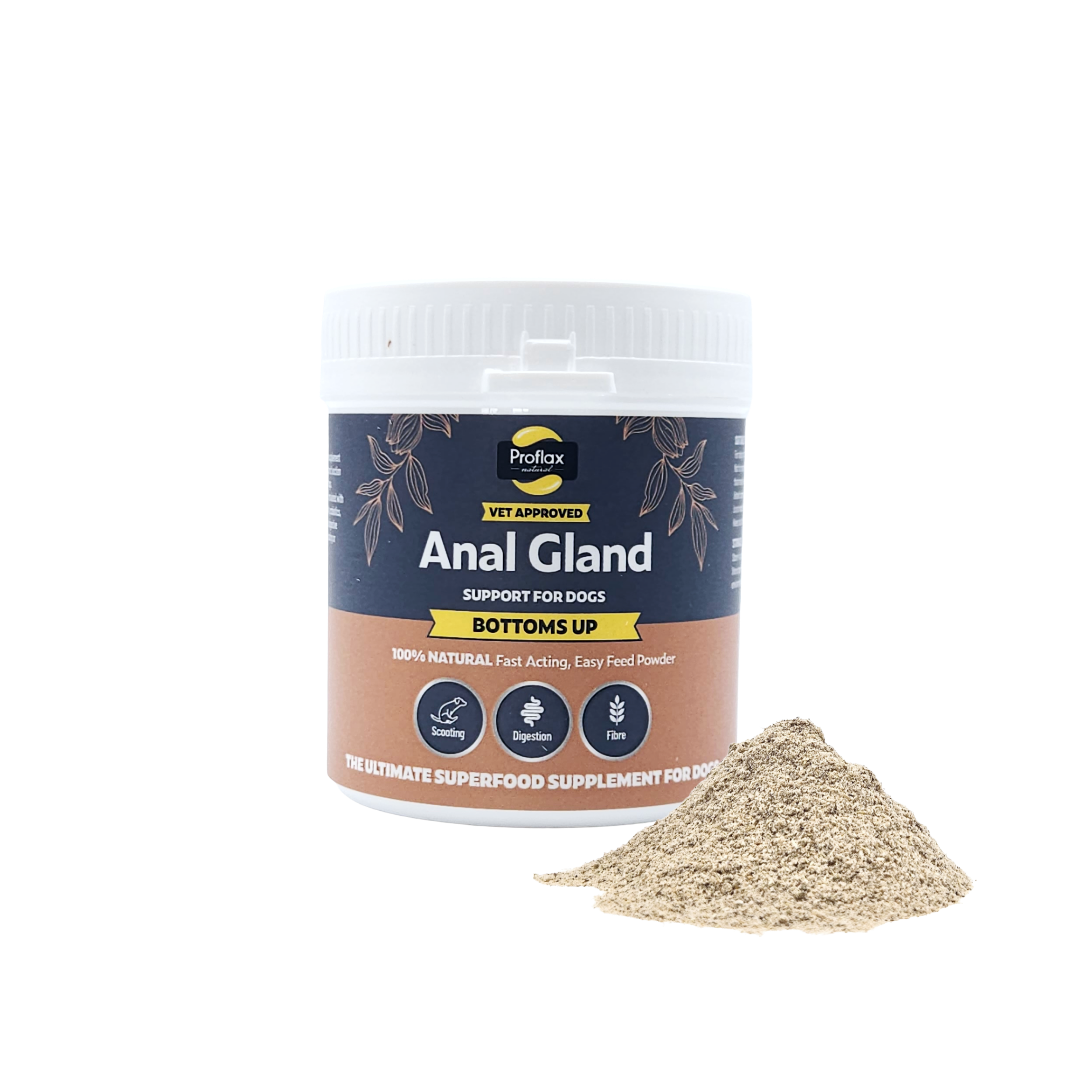 Anal Gland Support for Dogs - Bottoms Up