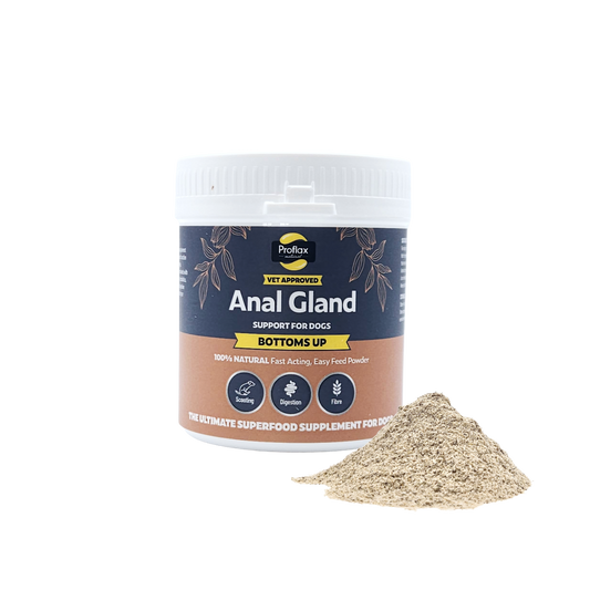 Anal Gland Support for Dogs - Bottoms Up