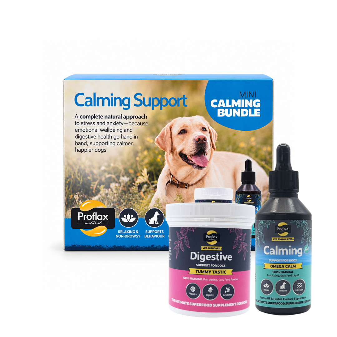 Targeted Wellness Bundle - Mini Chill Out