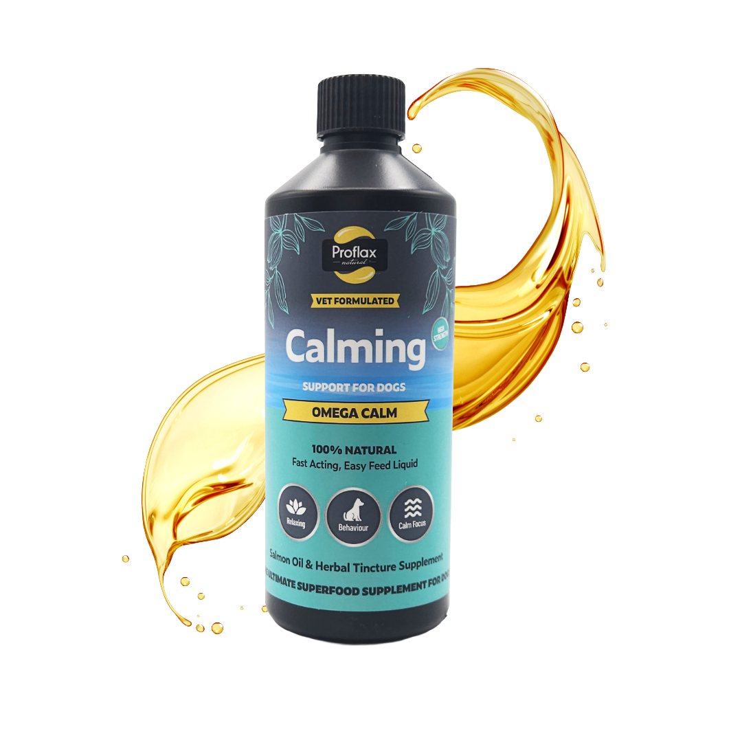 Calming Salmon Oil for Anxious Dogs - Omega Calm