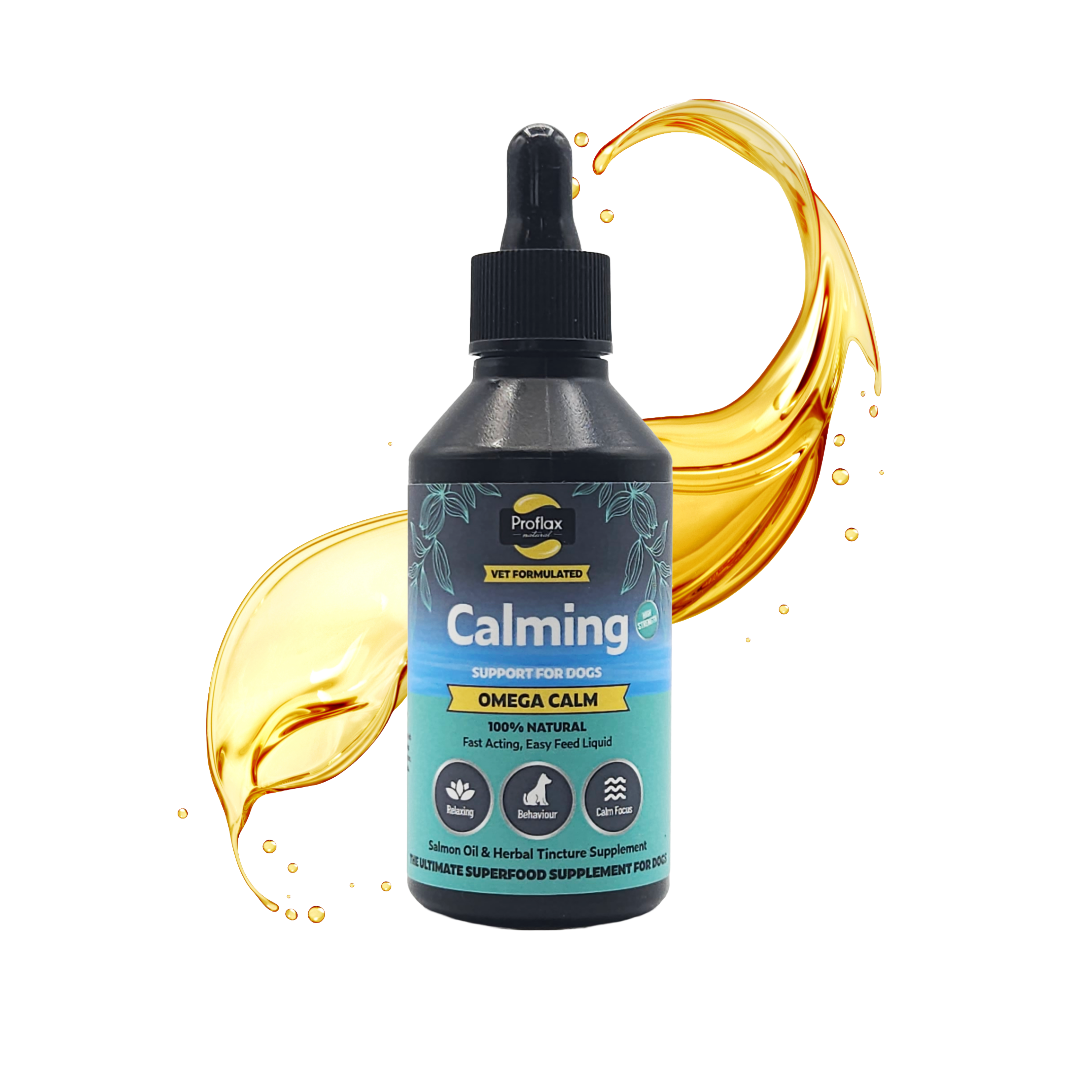 Calming Salmon Oil for Anxious Dogs - Omega Calm