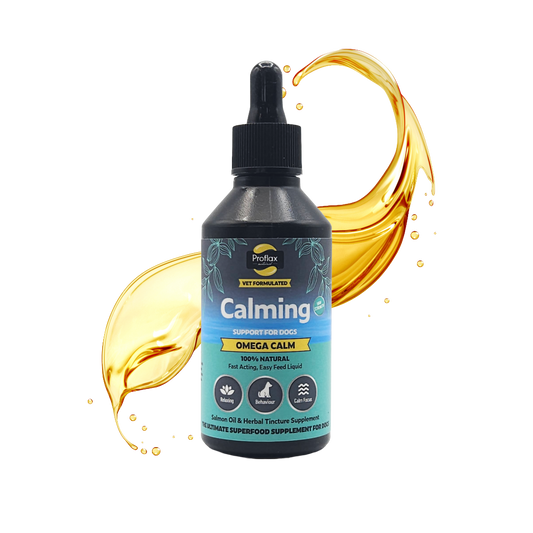 Calming Salmon Oil for Anxious Dogs - Omega Calm
